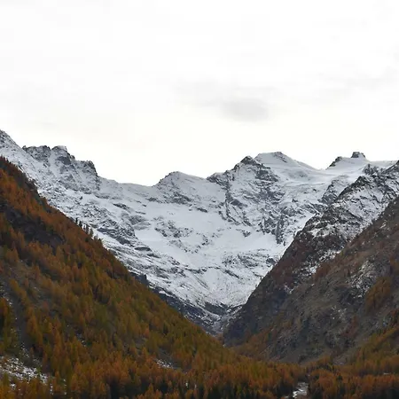 Petit Dahu - Et Restaurant Hotel