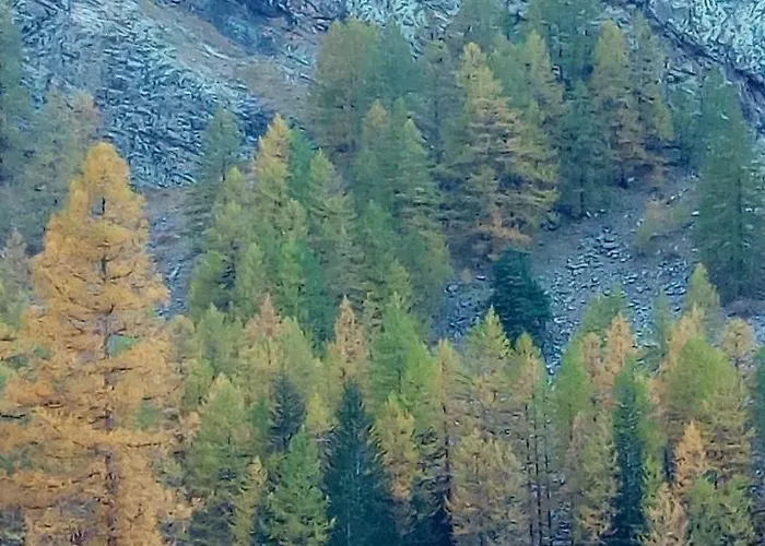 Hotel Petit Dahu - Et Restaurant