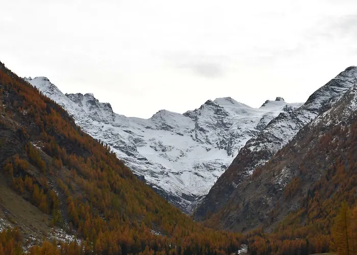 Petit Dahu - Et Restaurant Hotel